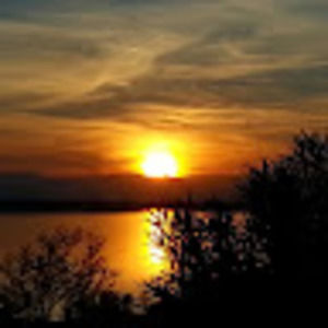 Meet your Posher, Miranda